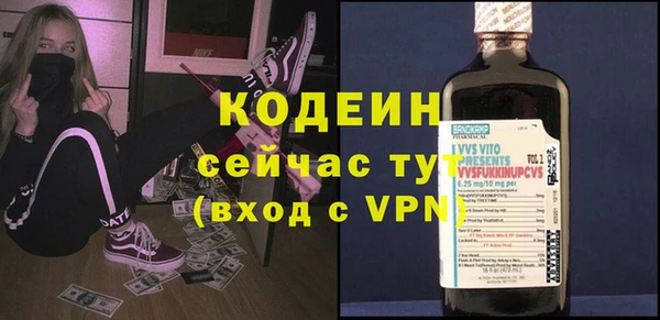 ГАЛЛЮЦИНОГЕННЫЕ ГРИБЫ Богданович