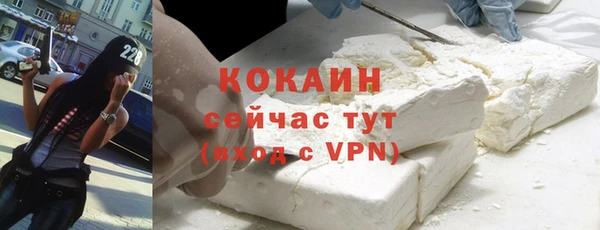 ГАЛЛЮЦИНОГЕННЫЕ ГРИБЫ Богданович
