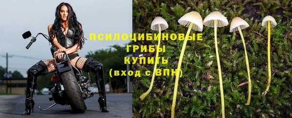мет Богородск