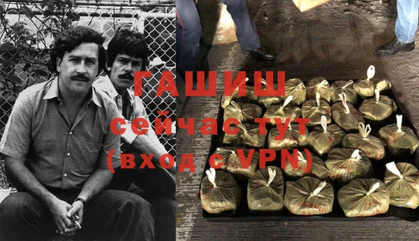 ГАЛЛЮЦИНОГЕННЫЕ ГРИБЫ Богданович