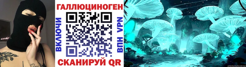 Псилоцибиновые грибы Cubensis Боровичи