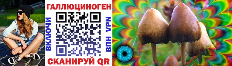 Псилоцибиновые грибы Cubensis Боровичи